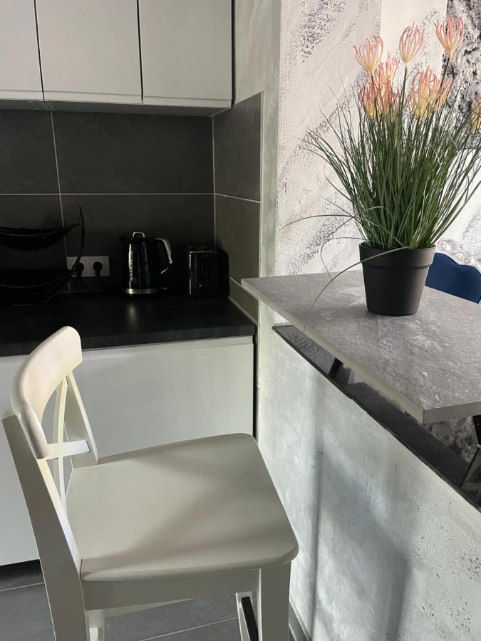 Luxus Design Apartments プラウエン エクステリア 写真